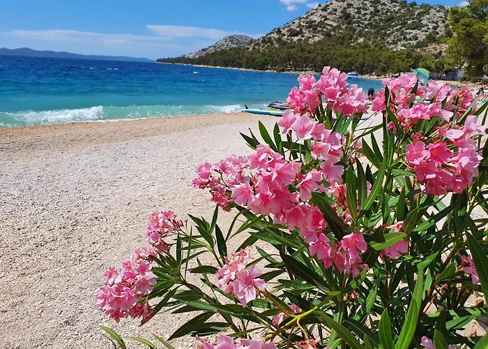 Mobile Zara * Драге