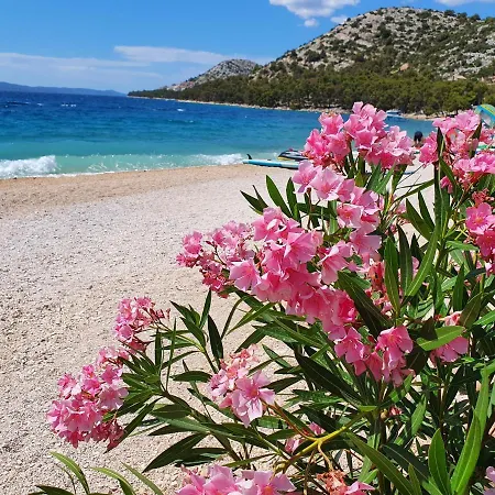 Mobile Zara * دراغ